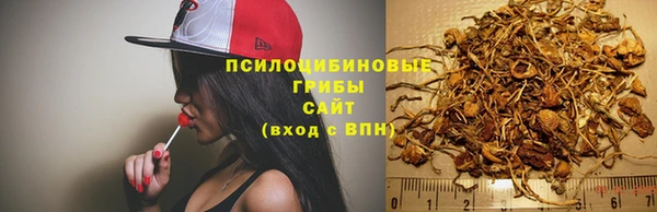 скорость Кинешма