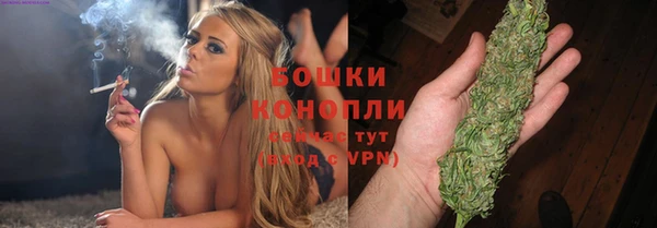 эйфоретик Арсеньев