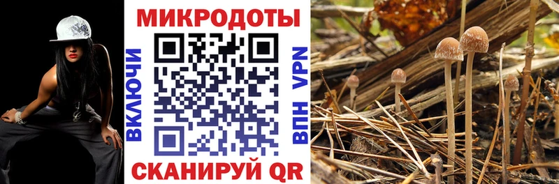 Псилоцибиновые грибы Magic Shrooms Рубцовск