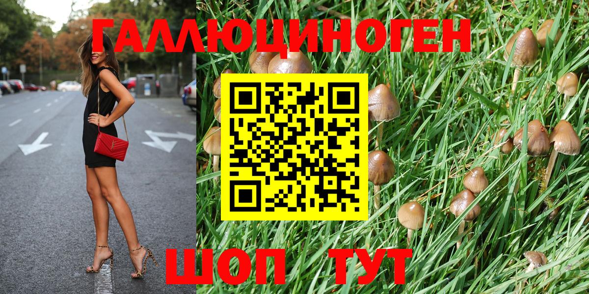 закладка  Рубцовск  Галлюциногенные грибы GOLDEN TEACHER 