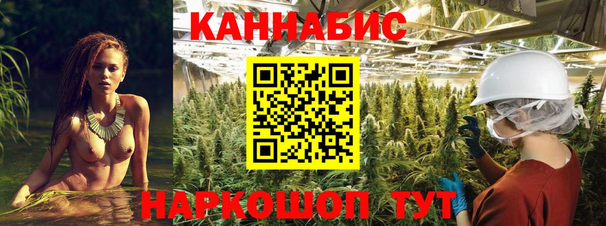 Шишки марихуана план  Шишки марихуана White Widow  Конопля Amnesia  Рубцовск  Вход с VPN 